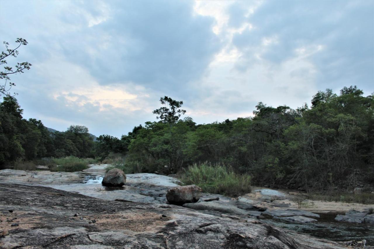 Lions Rock Rapids - Luxury Tented Camp Хейзивю Екстериор снимка