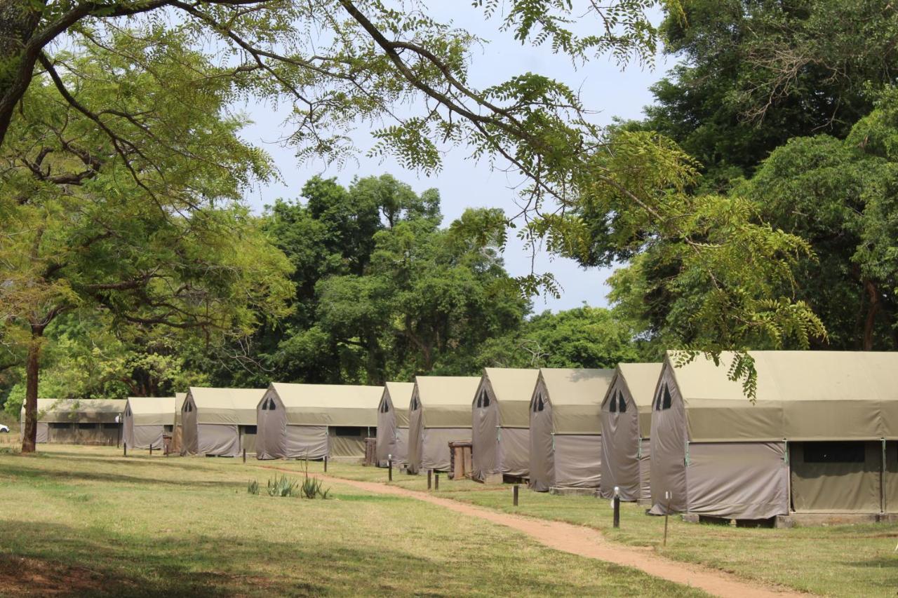Lions Rock Rapids - Luxury Tented Camp Хейзивю Екстериор снимка